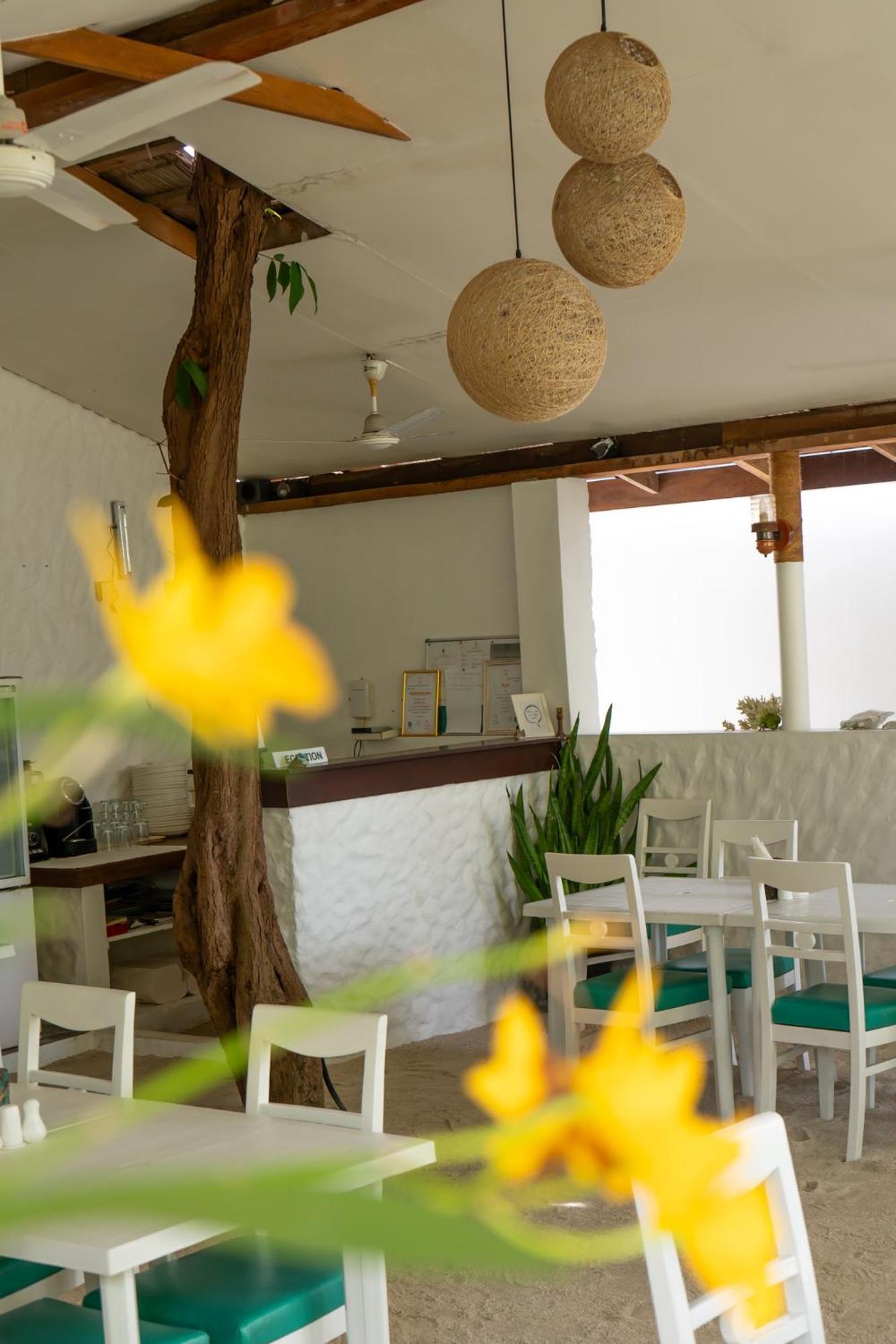 Hotel Vaali Maldives Island Escapes & Dive Felidhoo Exterior foto